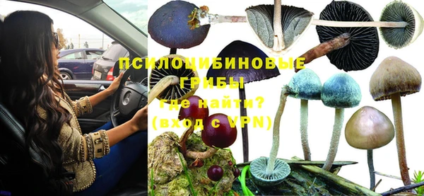 МДПВ Алзамай
